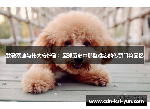 致敬泰迪与伟大守护者：足球历史中那些难忘的传奇门将回忆