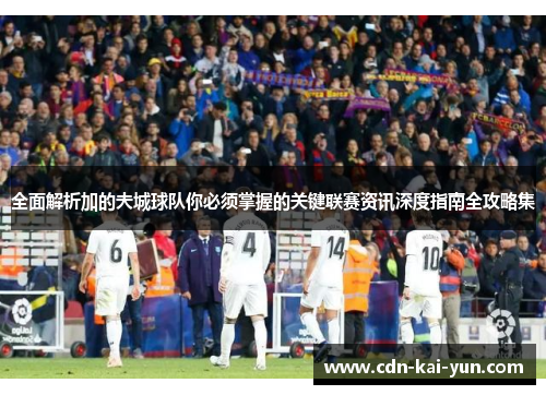 全面解析加的夫城球队你必须掌握的关键联赛资讯深度指南全攻略集