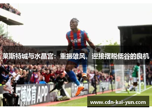 莱斯特城与水晶宫：重振雄风，迎接摆脱低谷的良机
