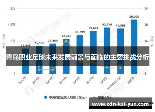 青岛职业足球未来发展前景与面临的主要挑战分析 青岛职业足球未来发展前景与面临的主要挑战分析